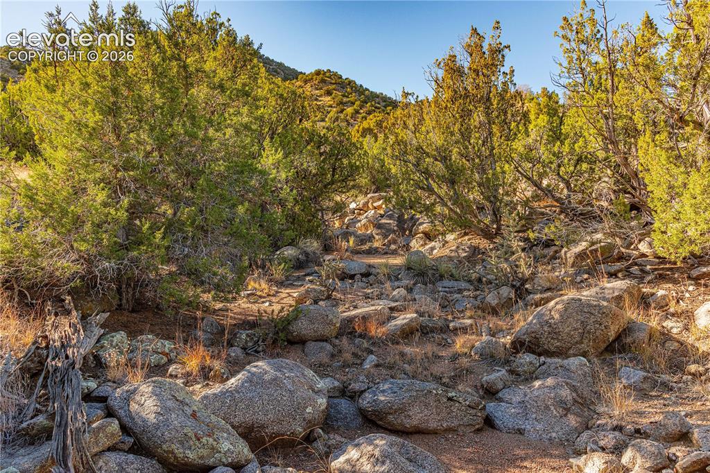 Image 45 of 48: View of nature