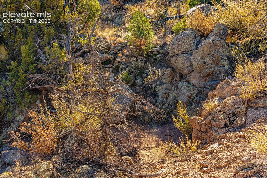 Image 46 of 48: Other