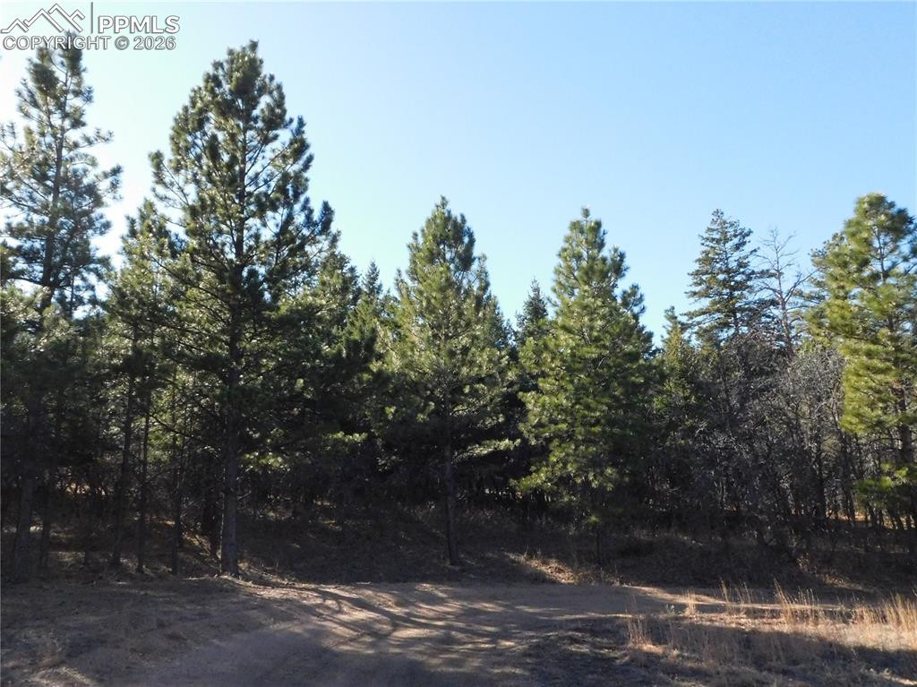 Image 10 of 28: No Description Available