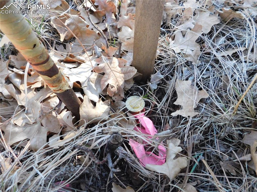 Image 11 of 28: No Description Available