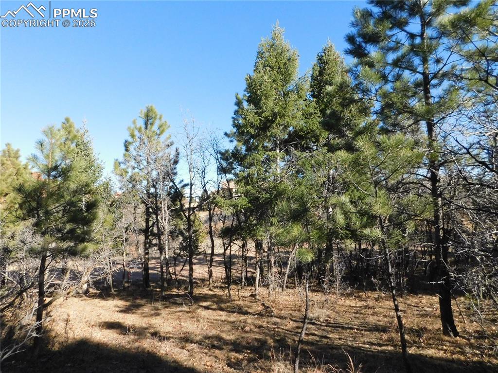 Image 12 of 28: No Description Available