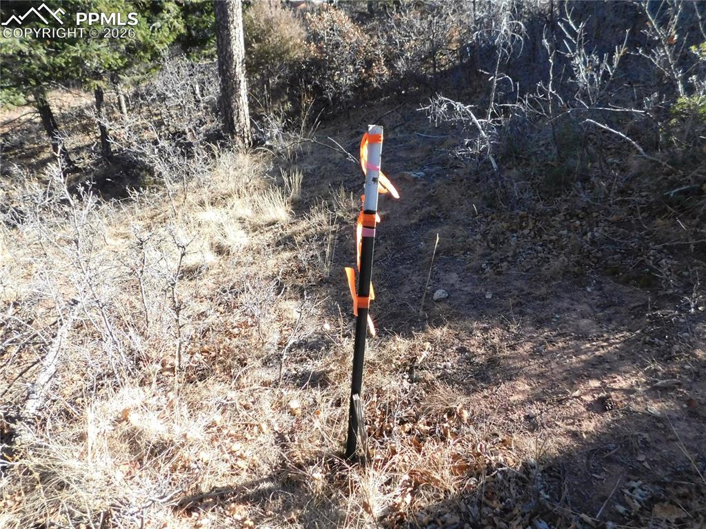 Image 14 of 28: No Description Available