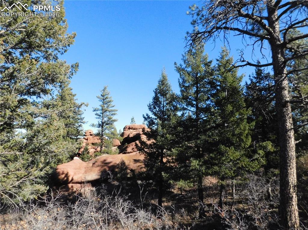 Image 15 of 28: No Description Available