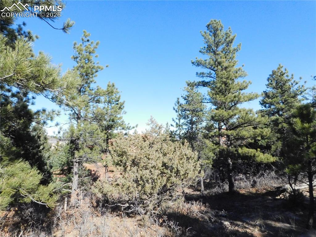 Image 16 of 28: No Description Available