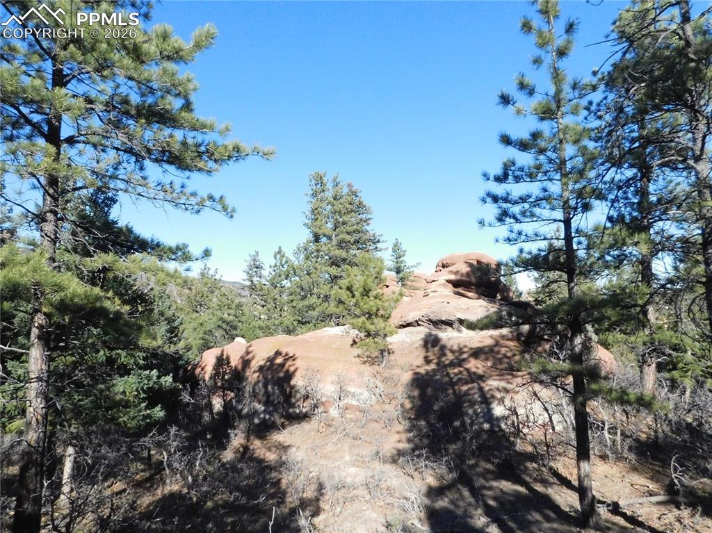 Image 17 of 28: No Description Available