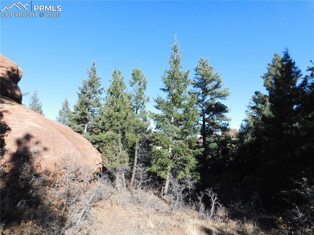 Image 21 of 28: No Description Available