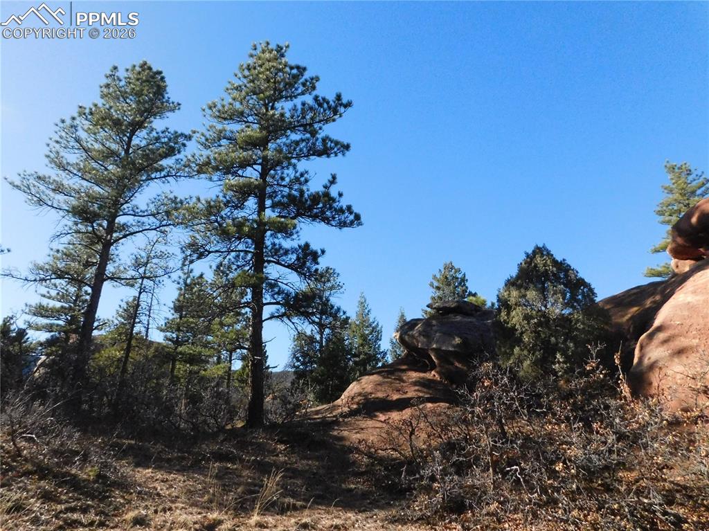 Image 22 of 28: No Description Available