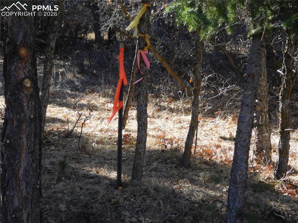 Image 26 of 28: No Description Available