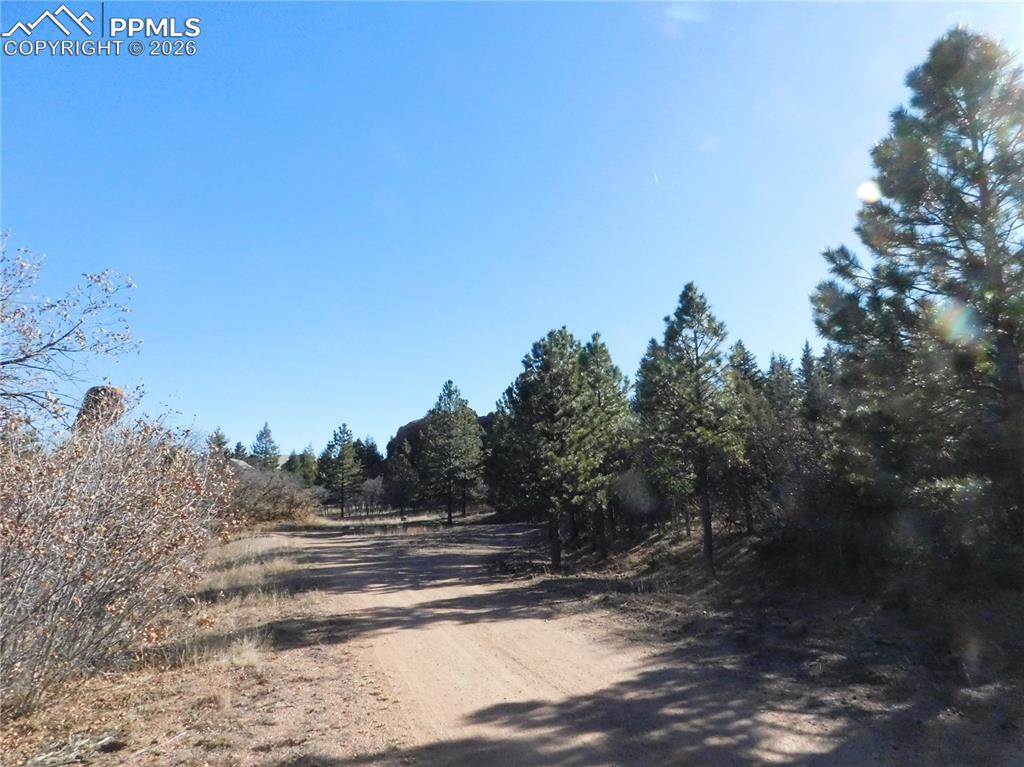 Image 28 of 28: No Description Available