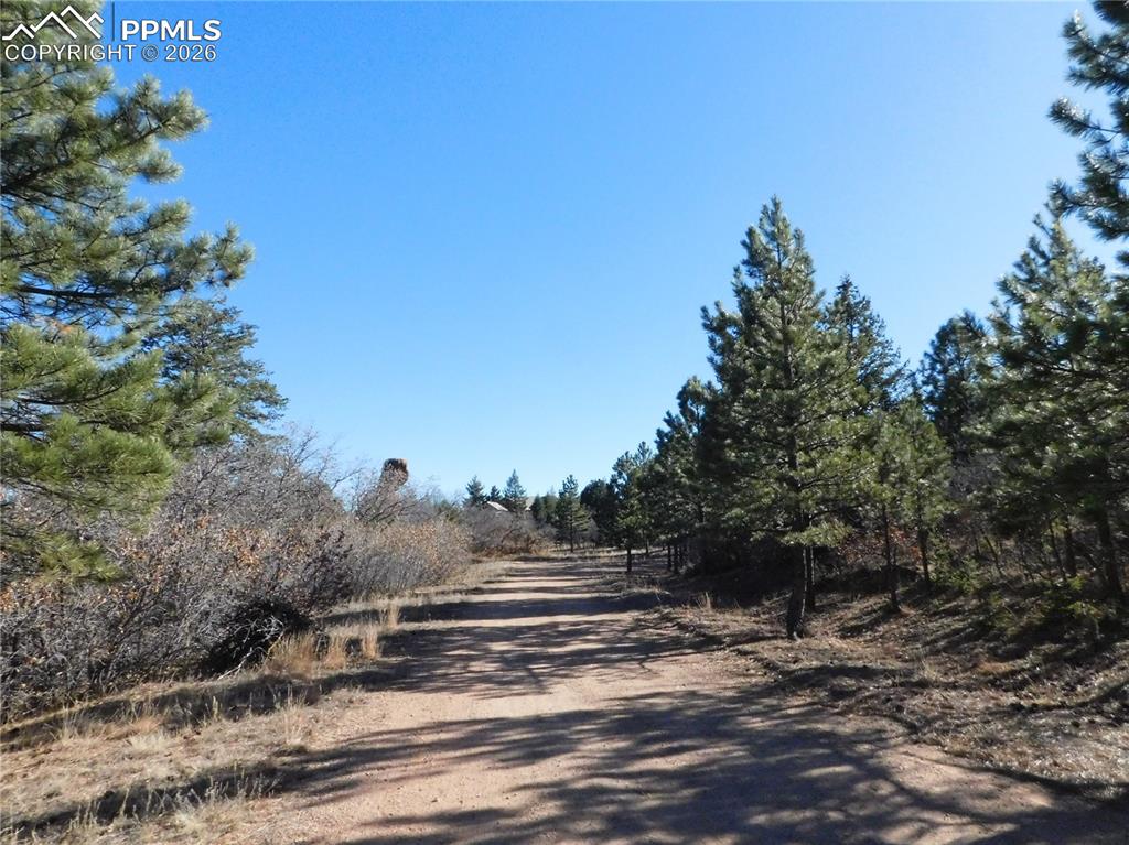 Image 5 of 28: No Description Available