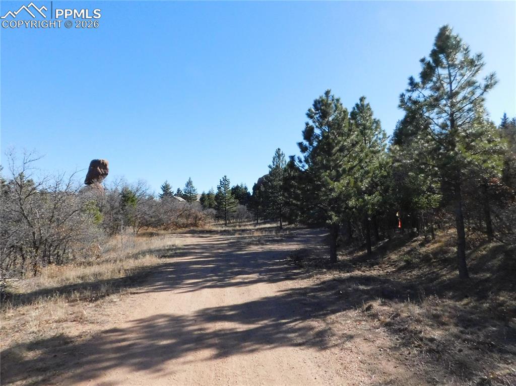 Image 7 of 28: No Description Available