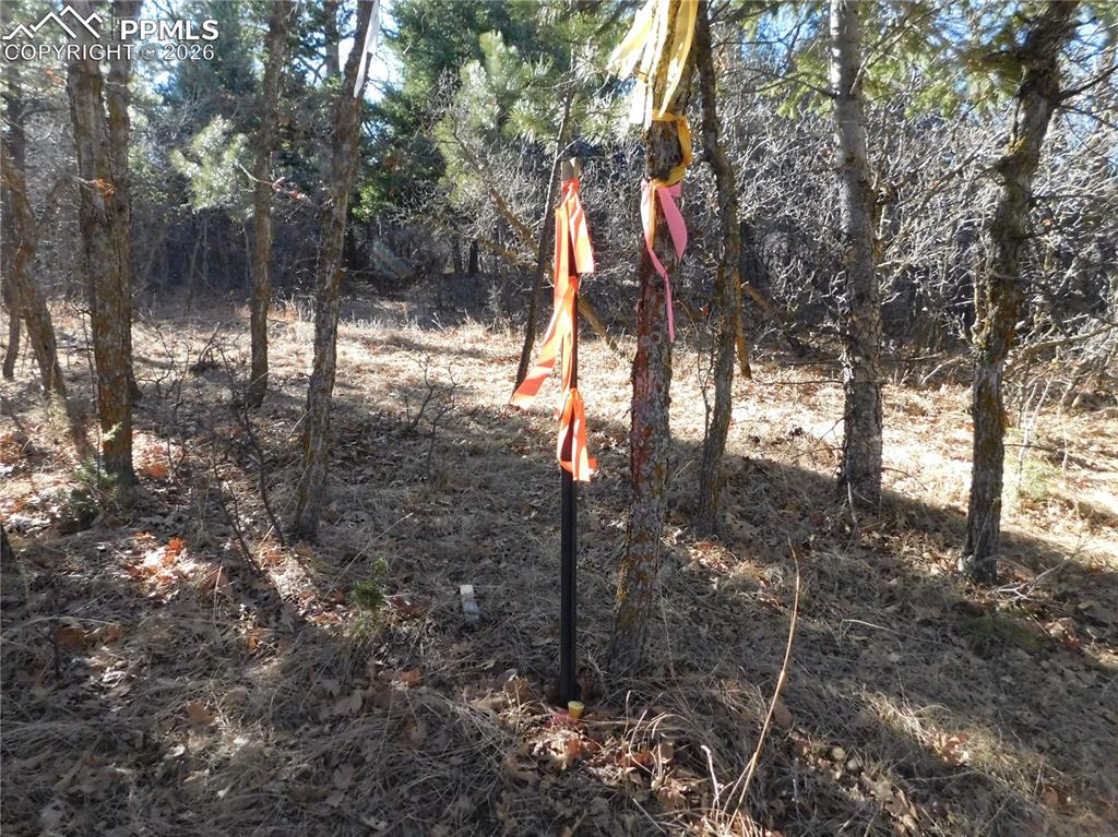 Image 9 of 28: No Description Available