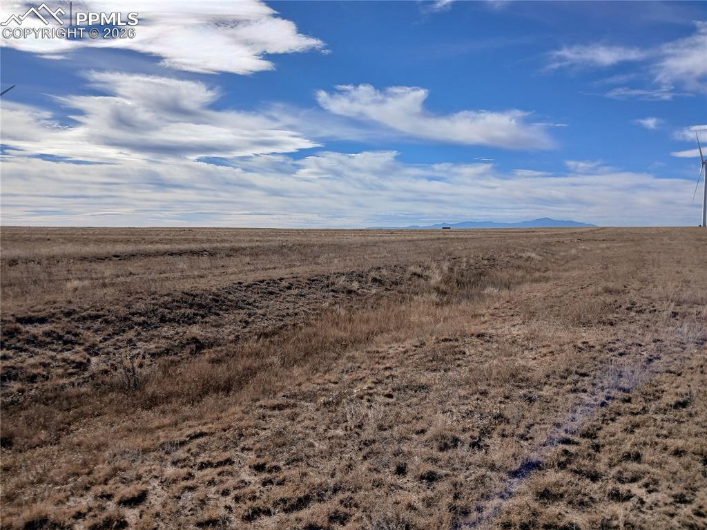 Image 10 of 18: Other