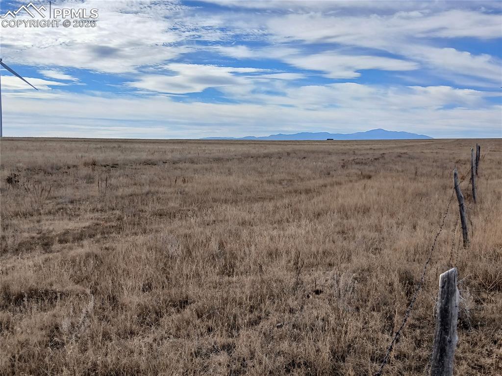 Image 11 of 18: Other