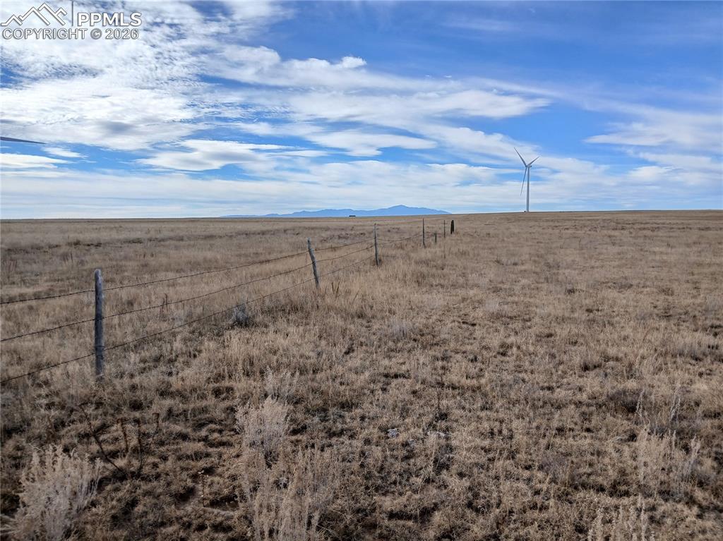 Image 12 of 18: Other