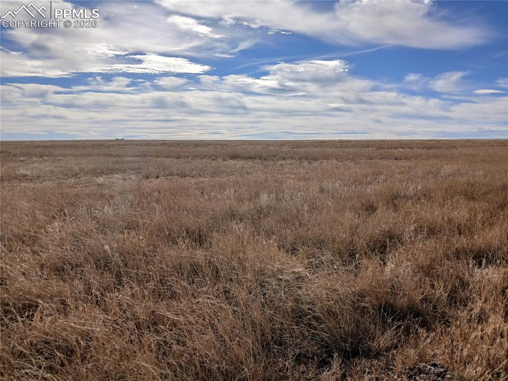 Image 13 of 18: Other