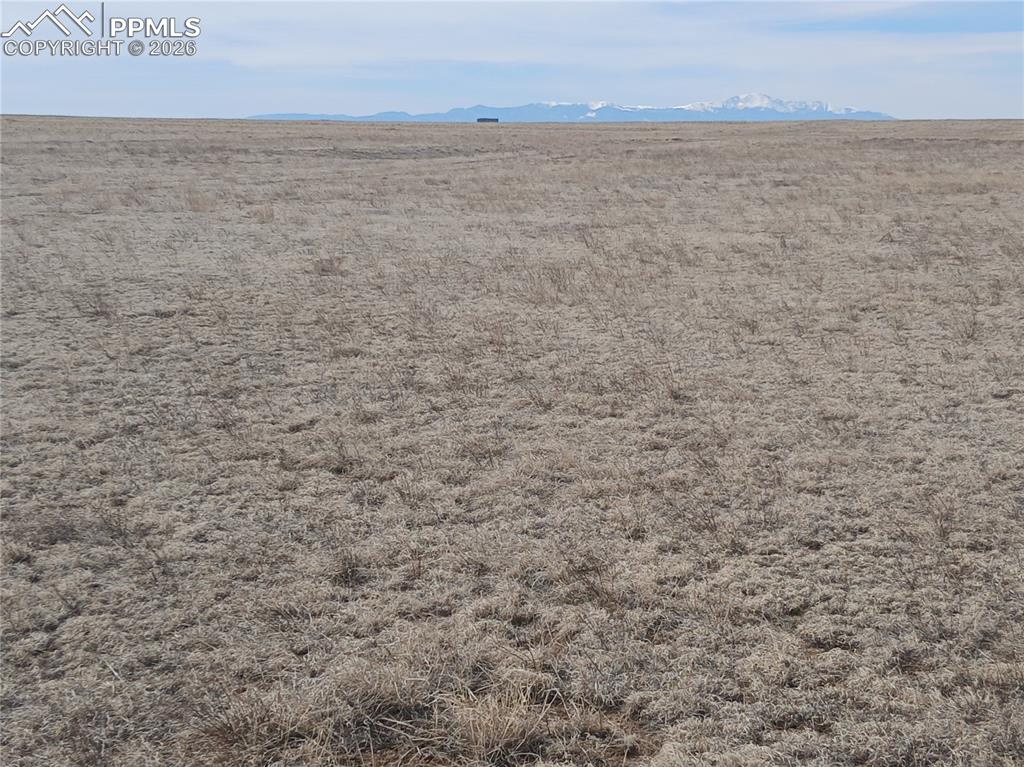 Image 16 of 18: Other