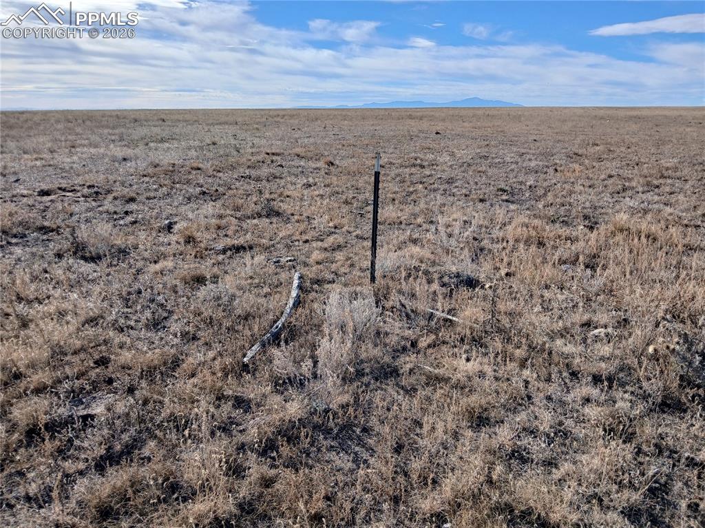 Image 5 of 18: Other