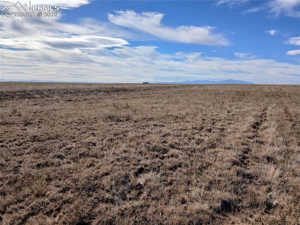 Image 8 of 18: Other