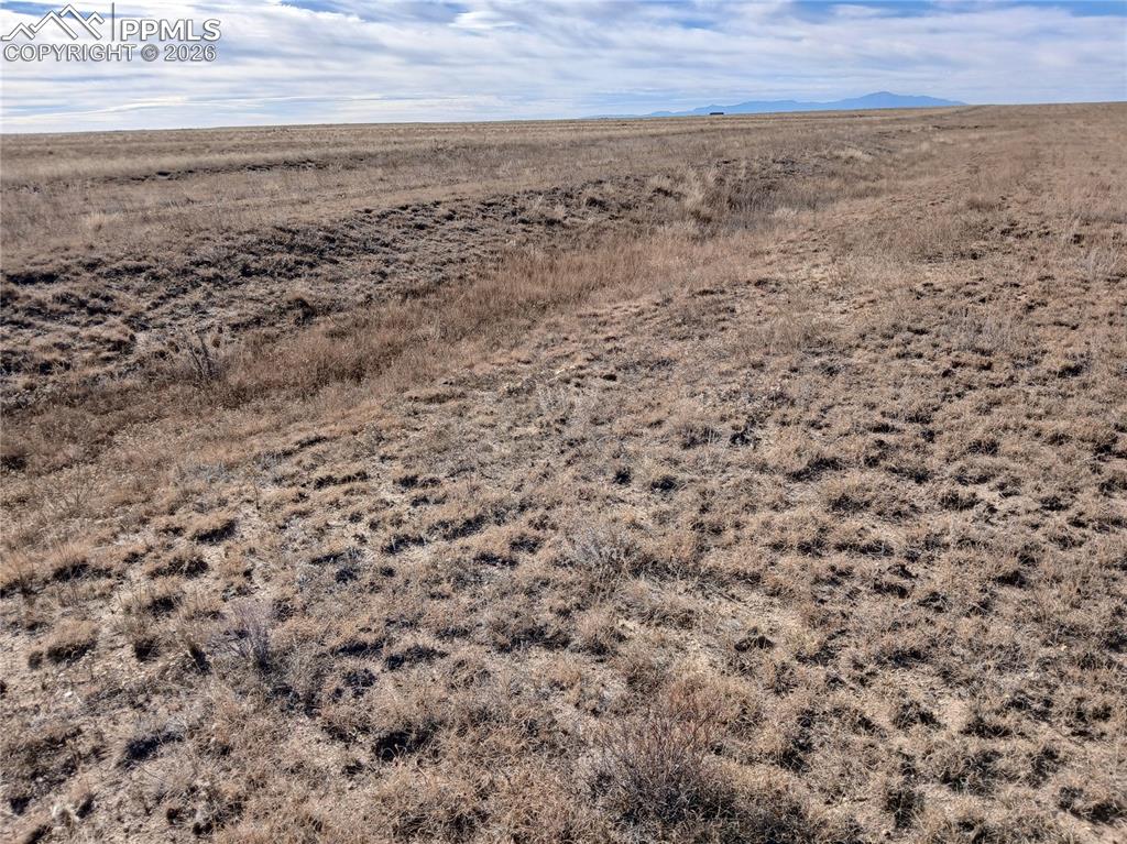 Image 9 of 18: Other