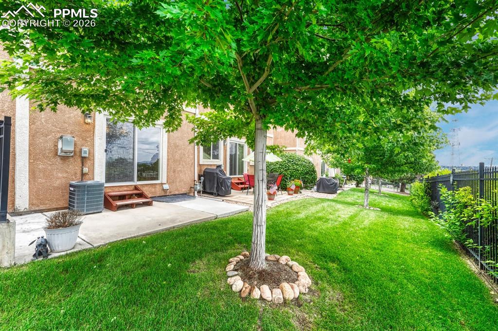 Image 32 of 50: Yard