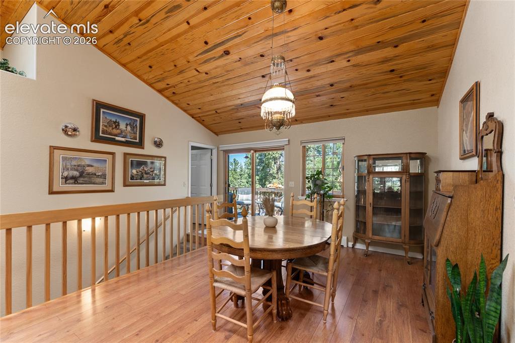 Image 10 of 43: Vaulted wood-paneled ceiling with an overhead light fixture, wood-finish fl