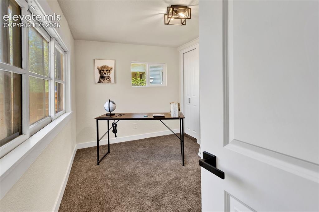 Image 17 of 26: Interior space featuring a window wall, carpet flooring, a flush-mount ceil