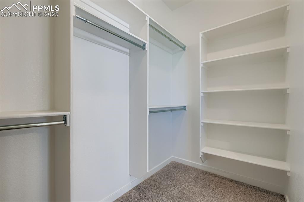 Image 15 of 27: Spacious closet featuring light carpet
