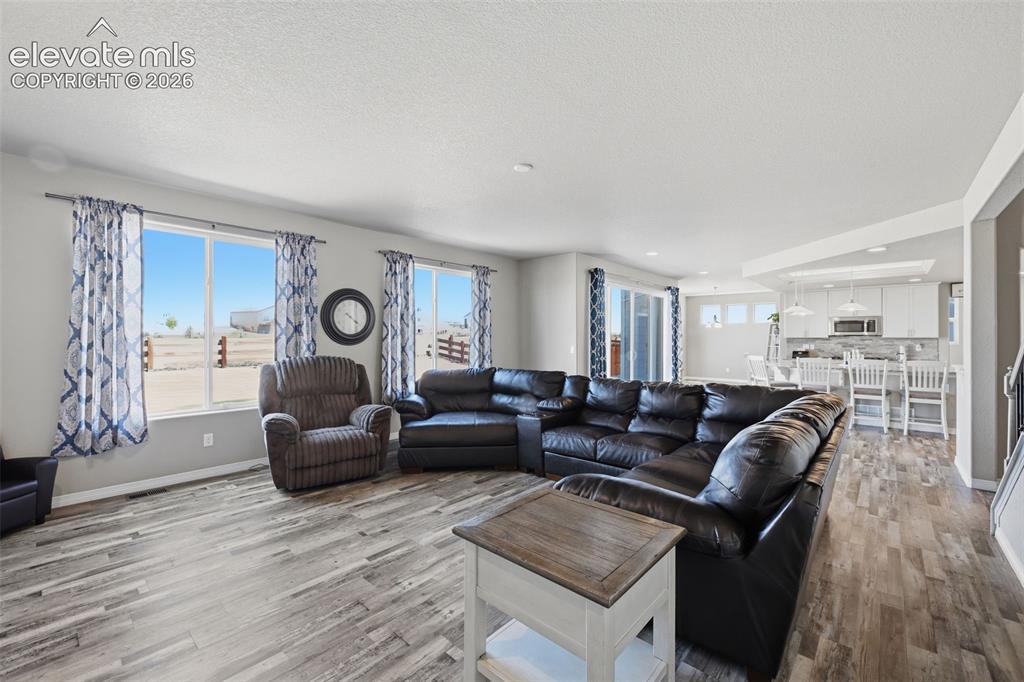 Image 4 of 43: Great Room with Backyard Views