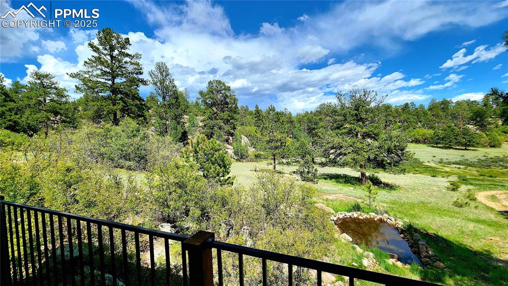 Image 3 of 50: Views from the front deck overlooking the pond with tadpoles and frogs