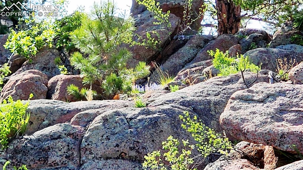 Image 37 of 50: Other