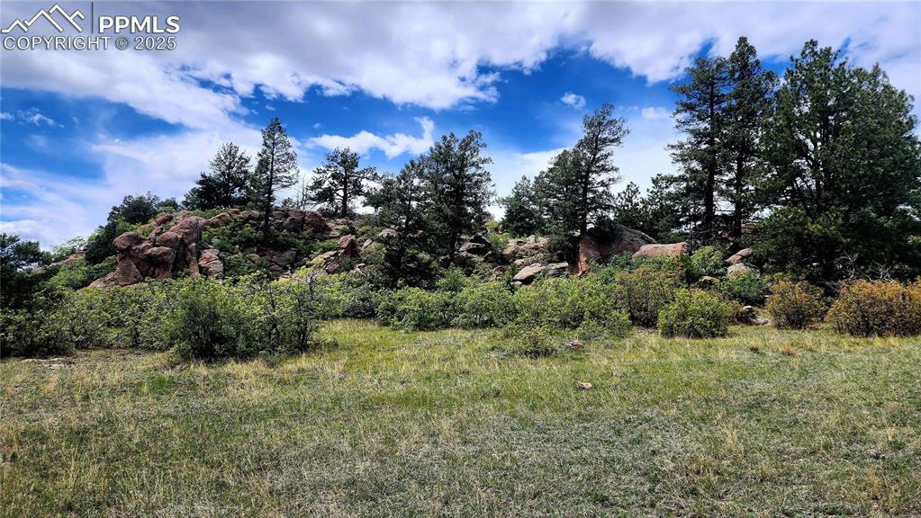 Image 38 of 50: large back pasture