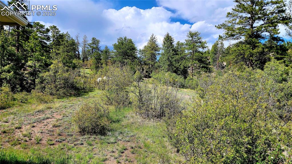 Image 40 of 50: Other