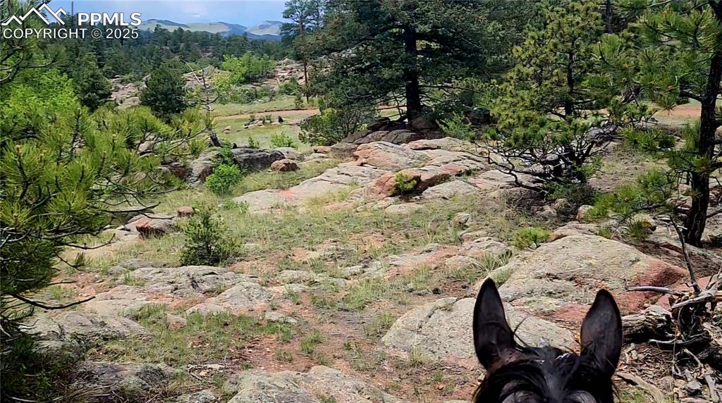 Image 41 of 50: Other