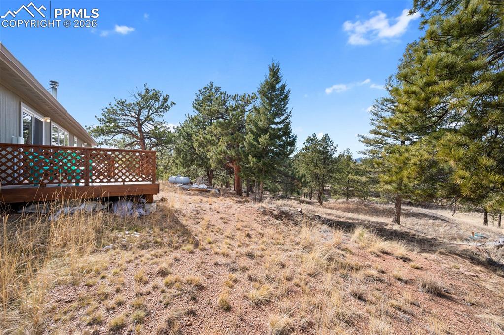 Image 23 of 29: Yard