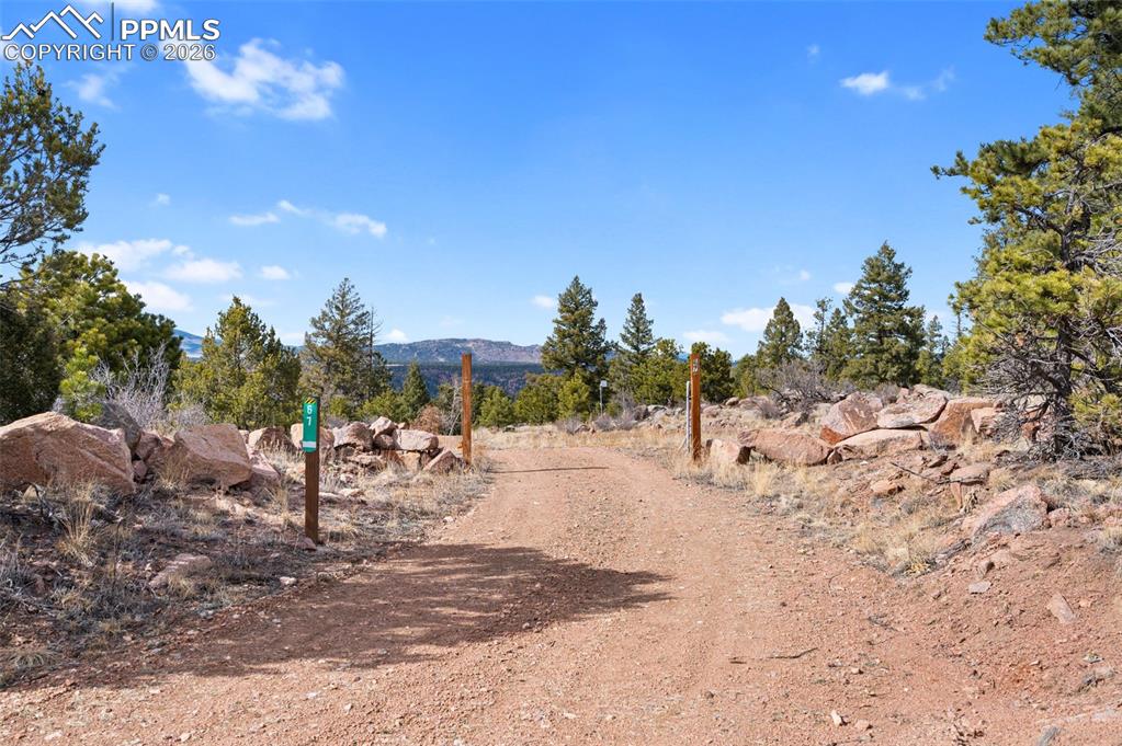 Image 30 of 30: View