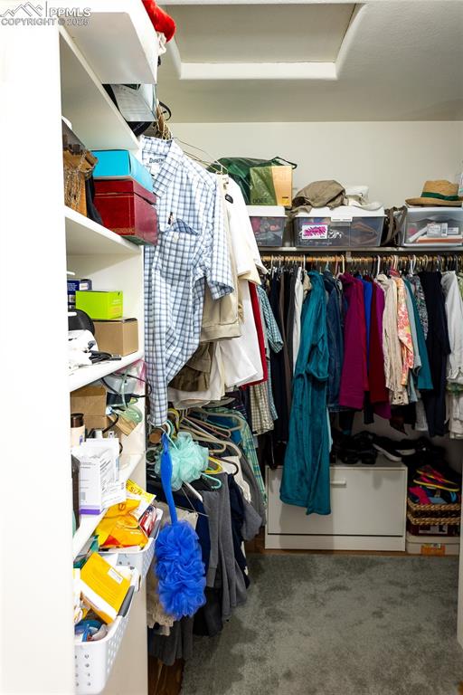 Image 30 of 48: Walk in closet featuring carpet flooring