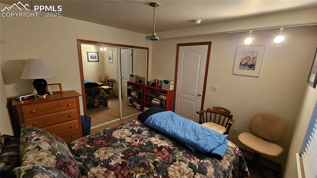 Image 40 of 48: Bedroom with carpet floors, rail lighting, and a closet