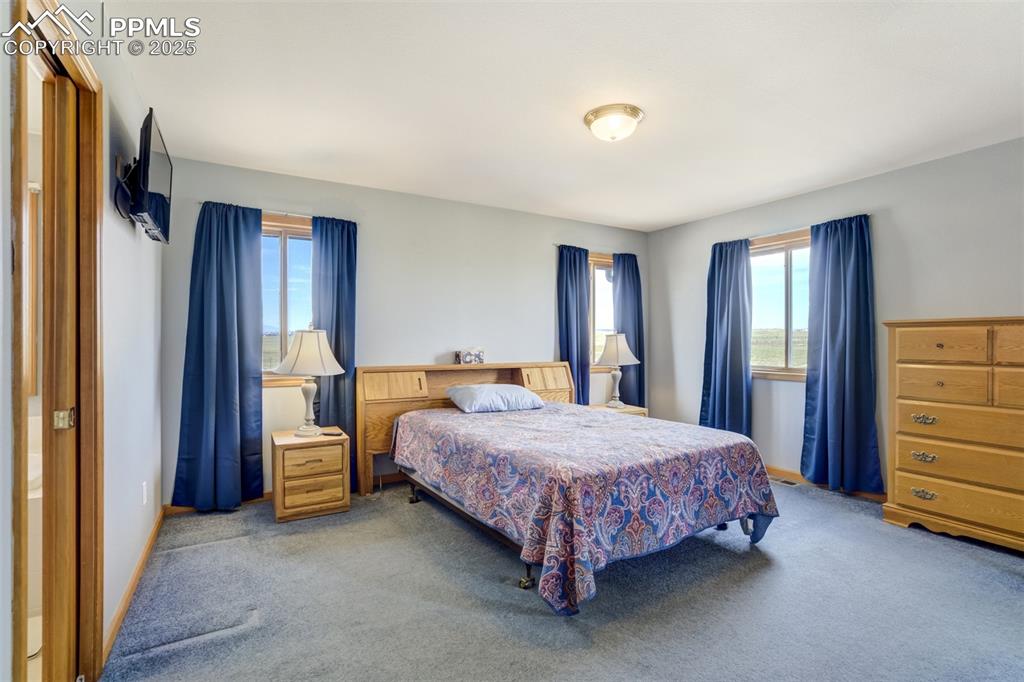 Image 19 of 50: Carpeted bedroom with multiple windows