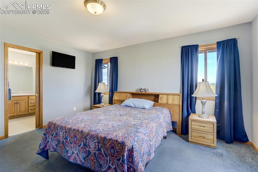 Image 20 of 50: Carpeted bedroom with baseboards and ensuite bathroom