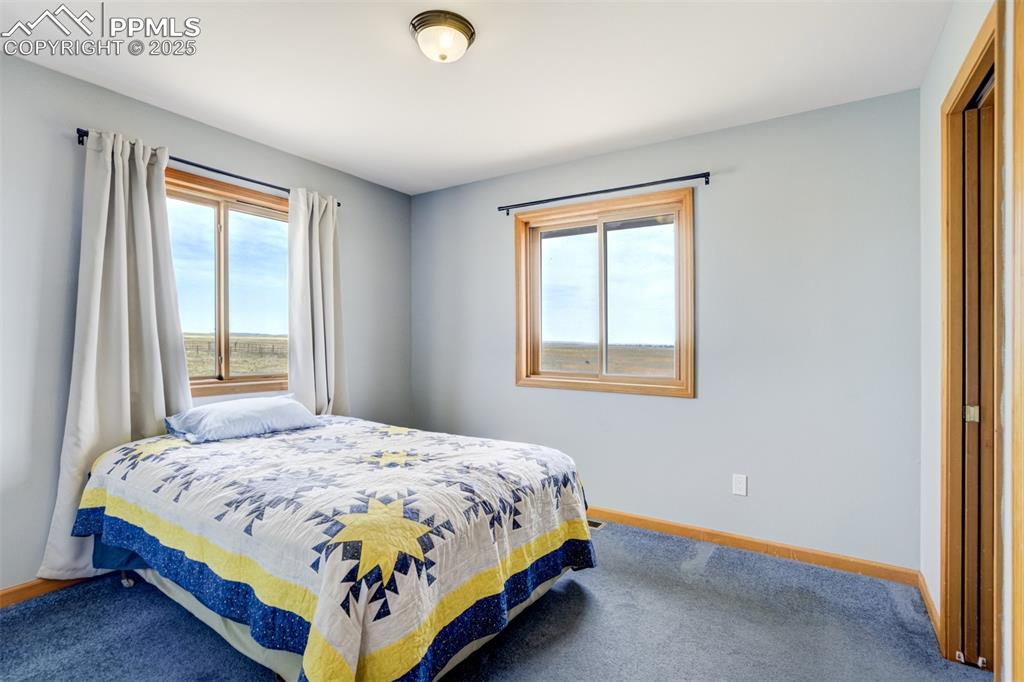 Image 24 of 50: Bedroom featuring multiple windows and carpet