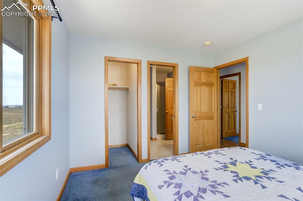 Image 25 of 50: Carpeted bedroom featuring multiple windows and a walk in closet