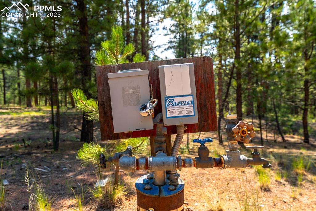 Image 10 of 36: Other