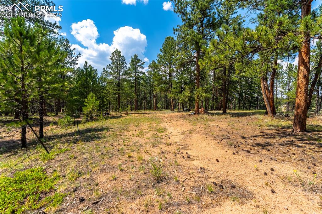 Image 11 of 36: Other