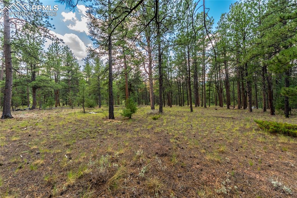 Image 3 of 36: Other