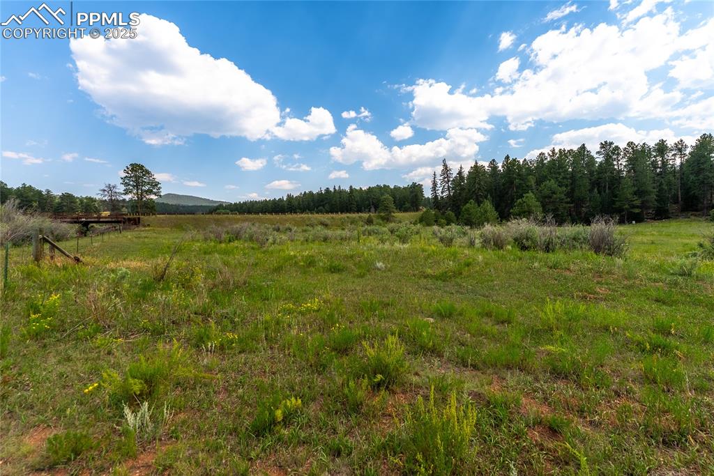 Image 7 of 36: Other