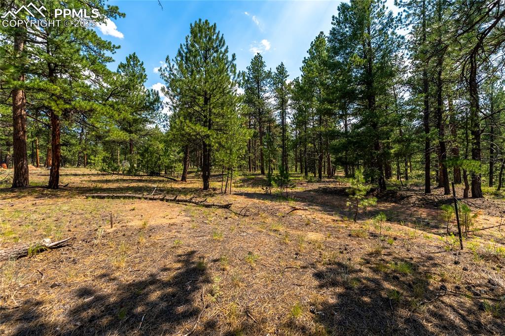 Image 9 of 36: Other