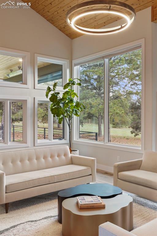 Image 15 of 47: Living Room