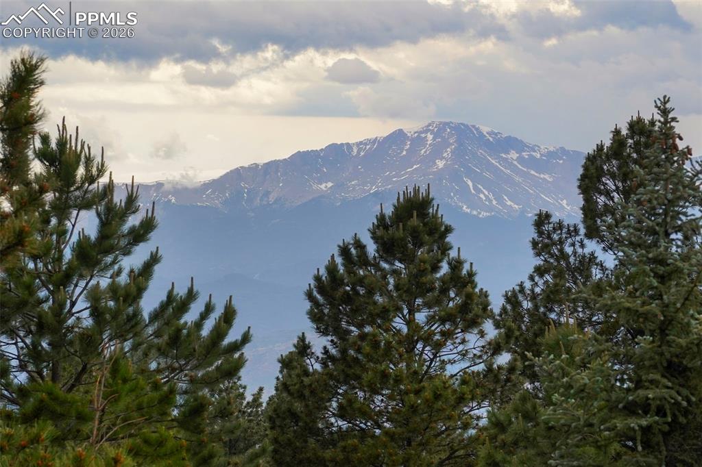 Image 4 of 47: New Supplement