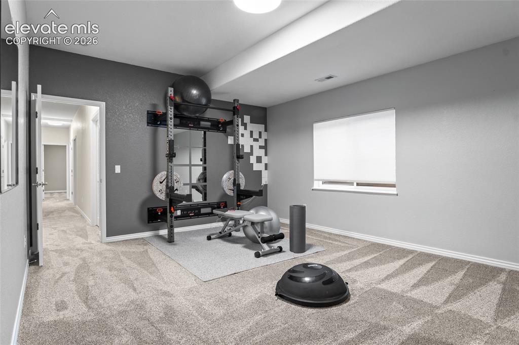 Image 34 of 44: #4 Secondary Bedroom in LL with new paint, high end carpet and walk in clos